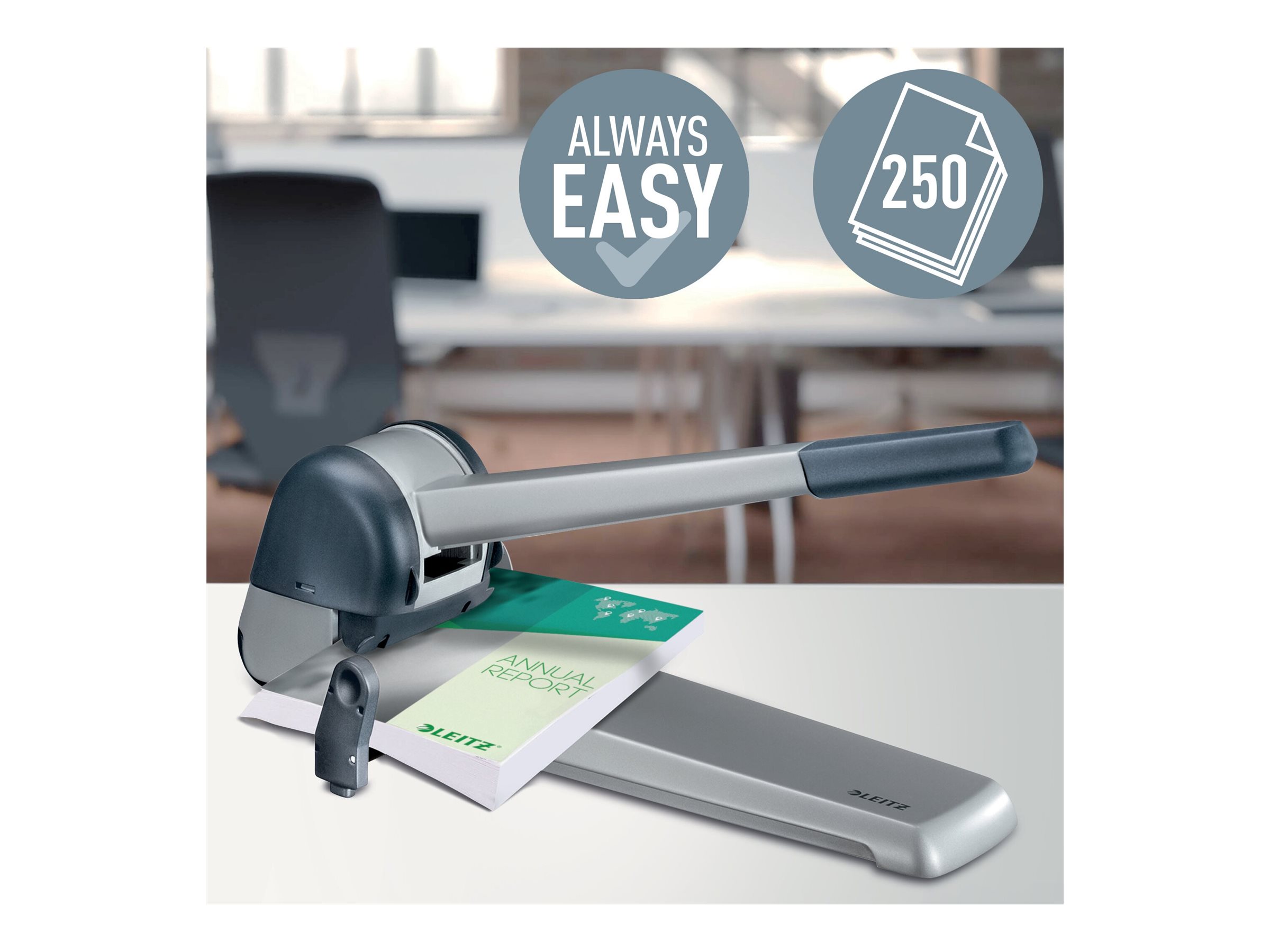 LEITZ Registraturlocher 5182 grau