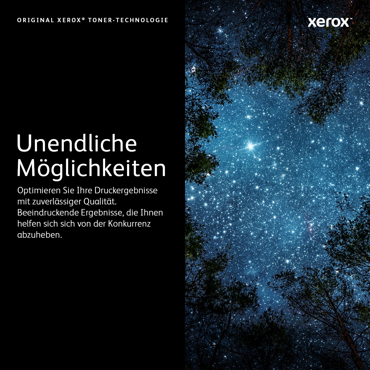 006R04358 XEROX C31x Toner magenta ST