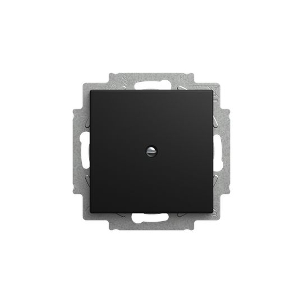 Busch-Jaeger BJ 2538-915 Blindzentralscheibe Tragring