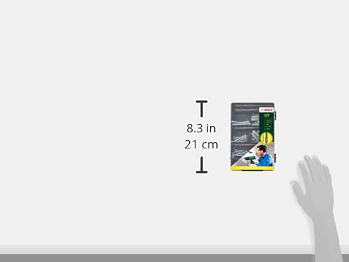 BOSCH BitSet FixierSet, 173teilig