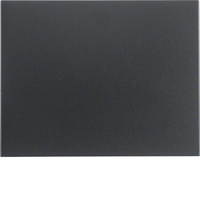 Berker Wippe 14057006 anthrazit matt Berker Wippe 14057006 anthrazit matt