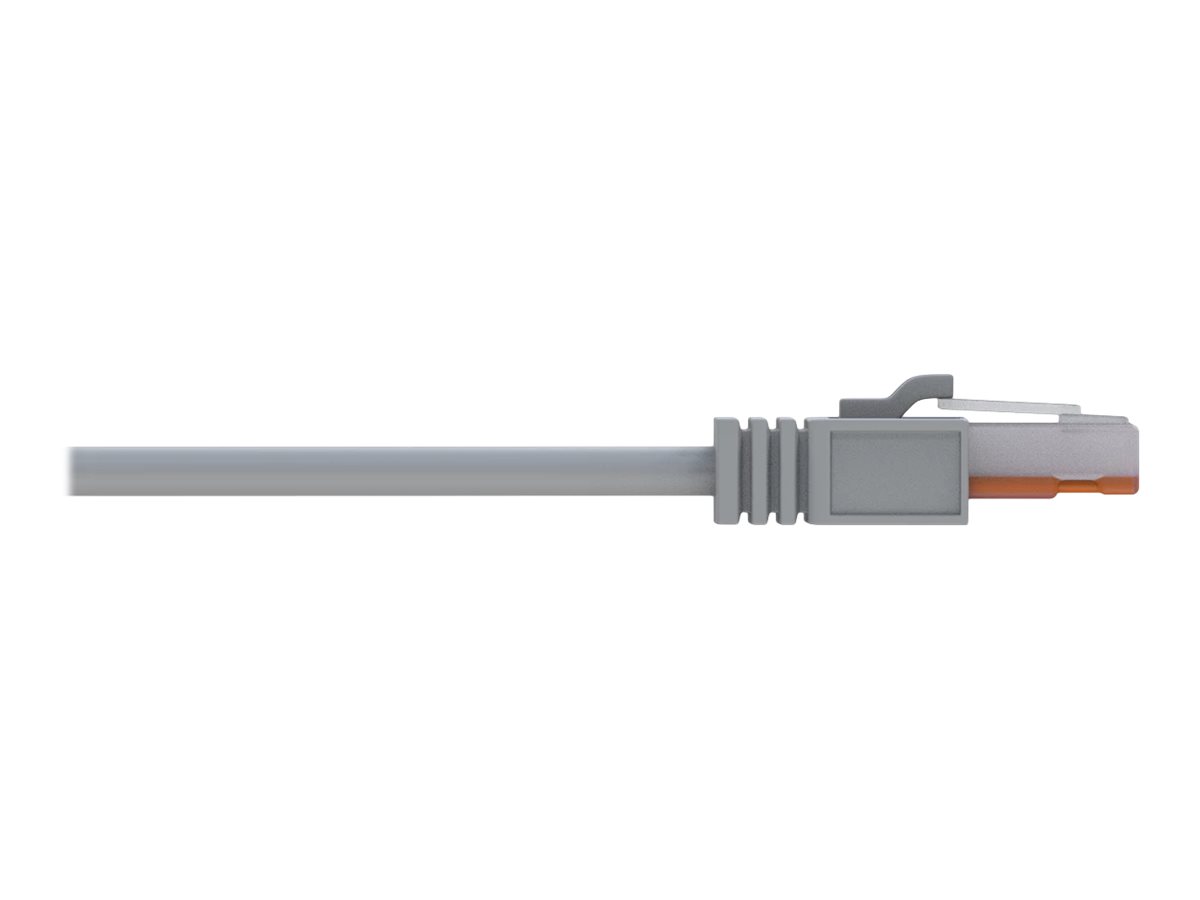 TELTONIKA NETWORKS Ethernet Kabel 1.5M