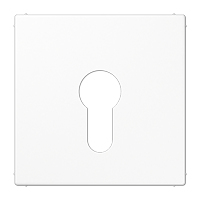 Jung Abdeckung LS925WW für Schlüsselschalter Jung Abdeckung LS925WW für Schlüsselschalter