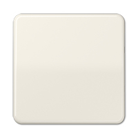 Jung Wippe CD590BF für Schalter/Taster