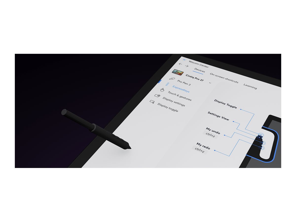 Wacom StiftDisplay Cintiq Pro 22