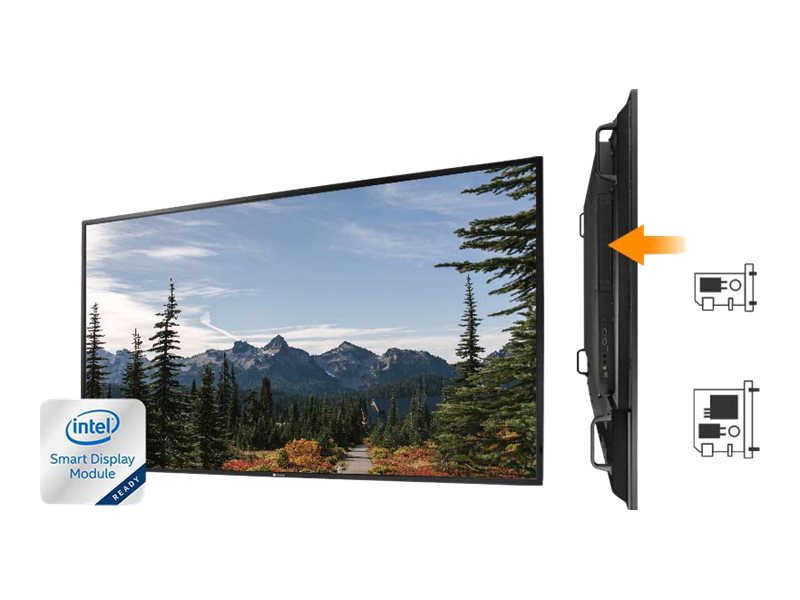 AG neovo PD55Q 1387cm55 LED black Speditionsversand