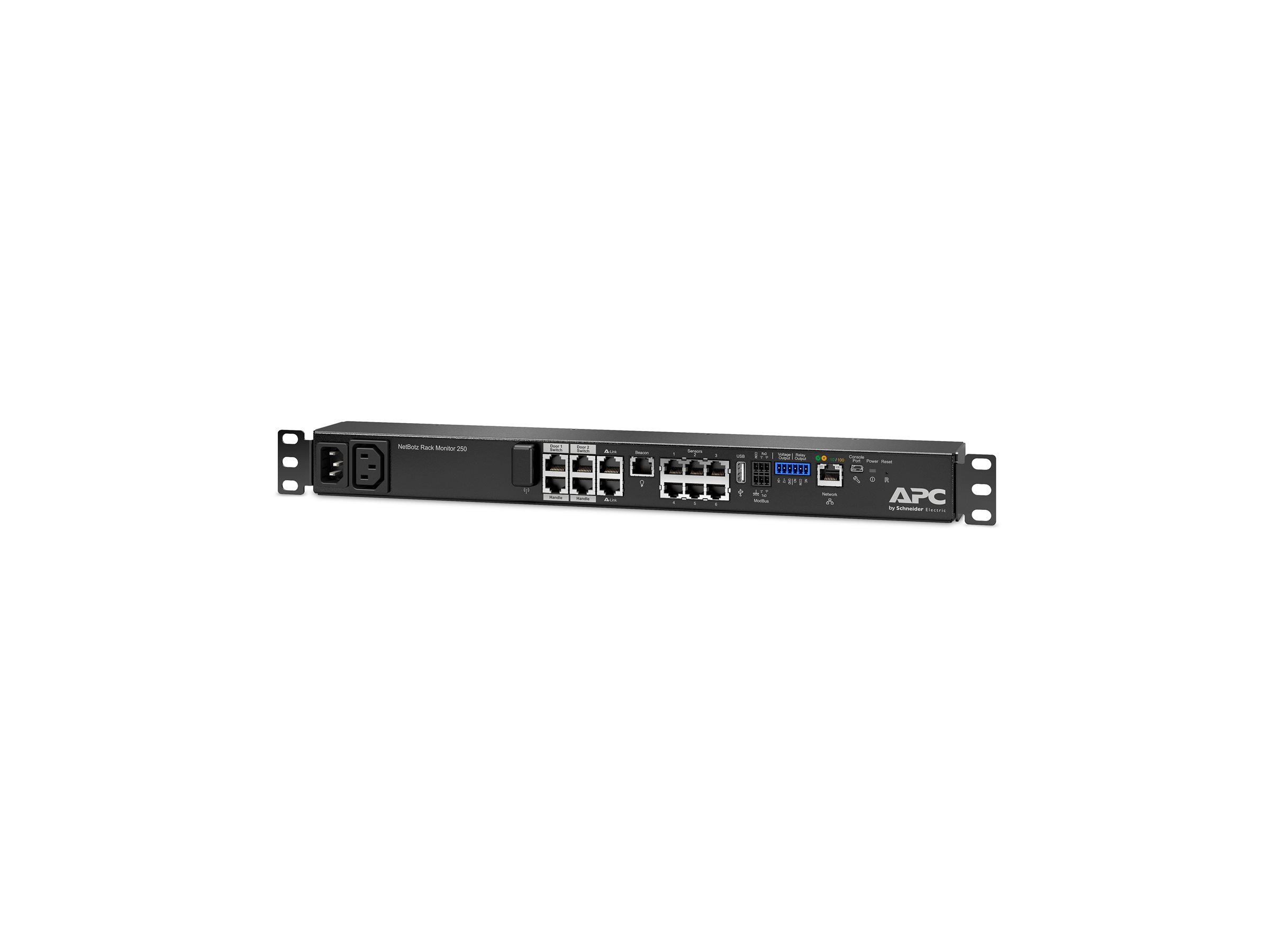 APC NetBotz Rack Monitor 250 Environment monitoring device 100Mb LAN rackmountable TAA Compliant