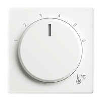 Busch-Jaeger Zentralscheibe 1794 R-84 Temperatur rund Busch-Jaeger Zentralscheibe 1794 R-84 Temperatur rund
