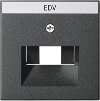 Gira Abdeckung 028428 BSF UAE /IAE (ISDN) System 55 ant