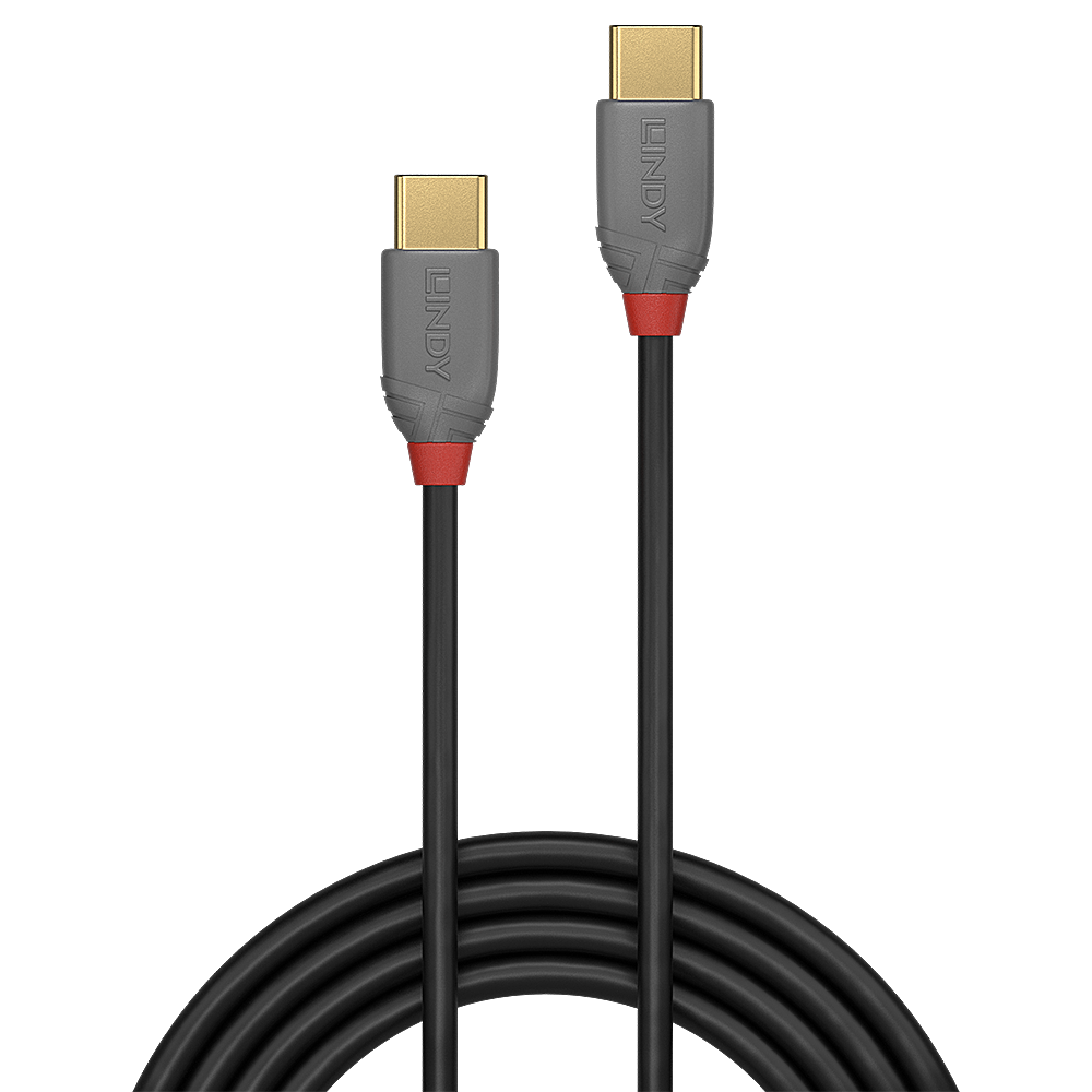 LINDY 1m USB 20 Typ C Kabel Anthra Line