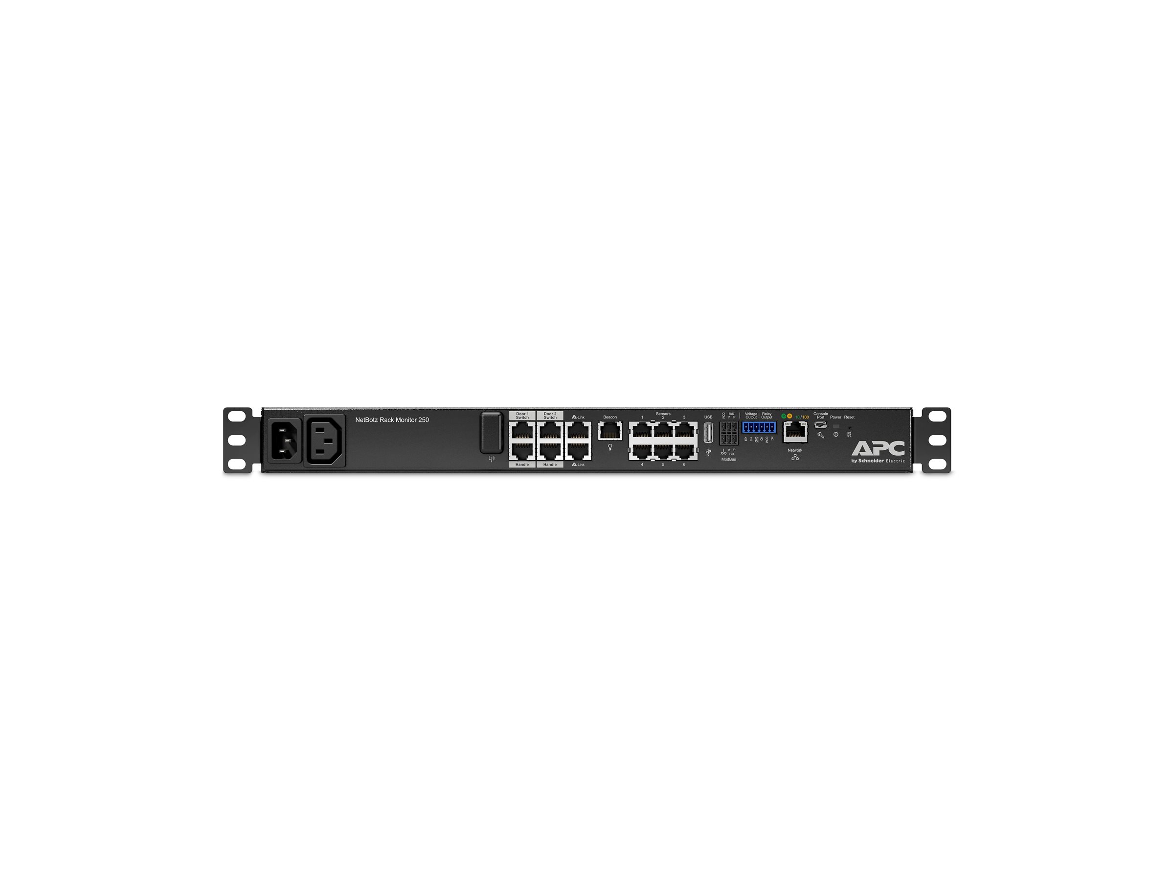 APC NetBotz Rack Monitor 250 Environment monitoring device 100Mb LAN rackmountable TAA Compliant