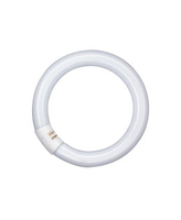 OSRA Leuchtstofflampe L 32W 840 C G10Q FLH OSRA Leuchtstofflampe L 32W 840 C G10Q FLH