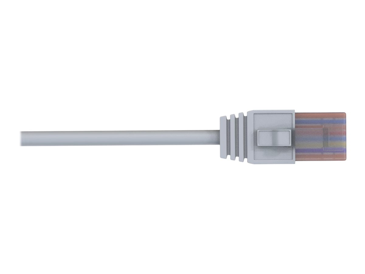 TELTONIKA NETWORKS Ethernet Kabel 1.5M TELTONIKA NETWORKS Ethernet Kabel 1.5M
