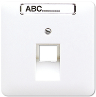 Jung Abdeckung CD5691NAUAWW fuer UAEDose