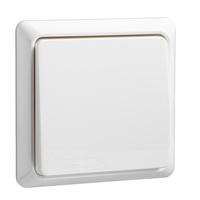 Elso Taster 502104 10A komplett RENOVIERUNG rw