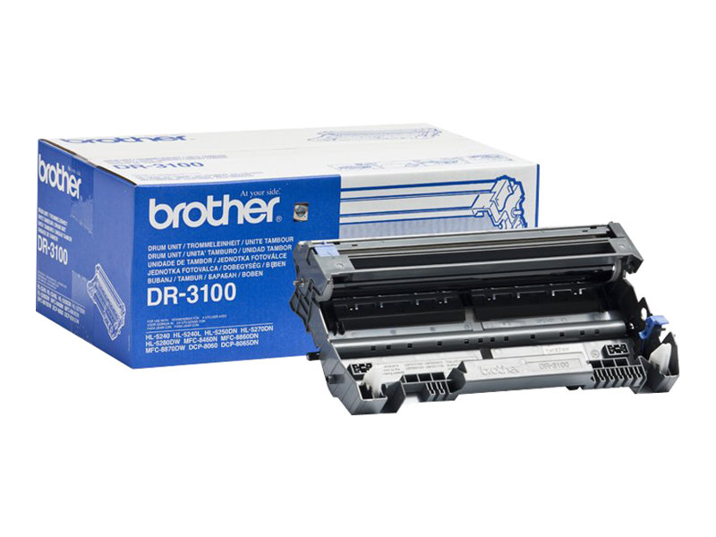 Brother DR3100 - Original - Trommeleinheit - für Brother DCP-8060