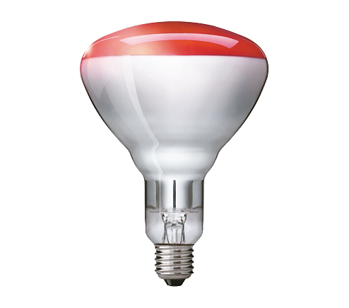 Philips Signify InfrarotReflektorlampe BR125 IR 250W E27 230250V Red 1CT10