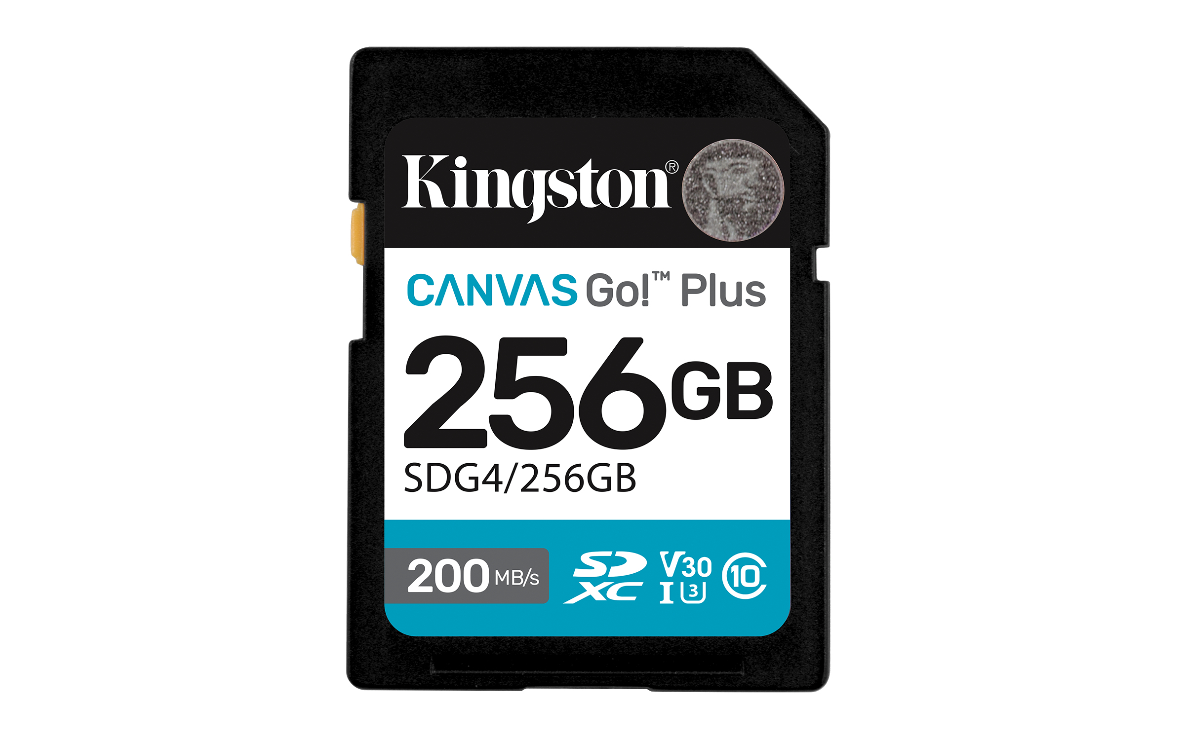 Kingston Canvas Go! Plus 256 GB SDXC C10