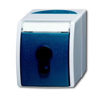 Busch-Jaeger Schlüsselschalter 2733 SLW-53 ocean 10A 1polig gr/blgr Busch-Jaeger Schlüsselschalter 2733 SLW-53 ocean 10A 1polig gr/blgr