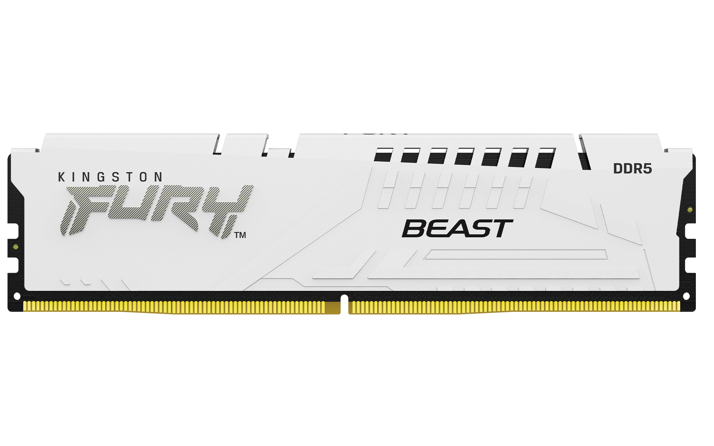 Kingston FURY Beast 32GB DDR5 CL36
