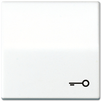 Jung Wippe AS591TWW mit Symbol Tür Jung Wippe AS591TWW mit Symbol Tür