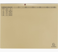 25 Exacompta Hängehefter Exaflex Karton chamois 2 x Amtsheftung 25 Exacompta Hängehefter Exaflex Karton chamois 2 x Amtsheftung