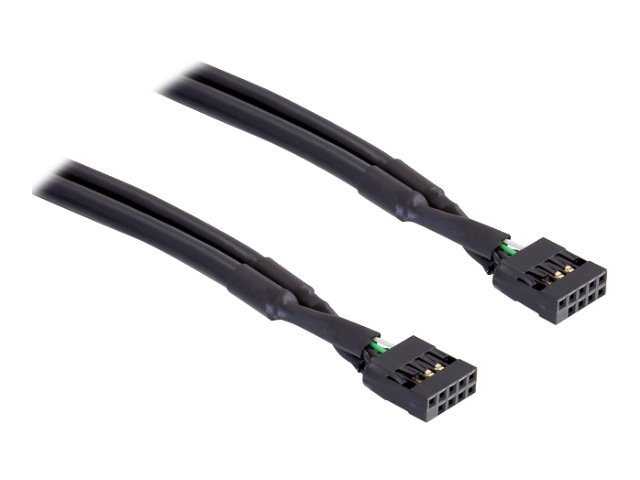 Delock Kabel USB Pinheader Buchse / Buchse 10 Pin (Industrie) Delock Kabel USB Pinheader Buchse / Buchse 10 Pin (Industrie)