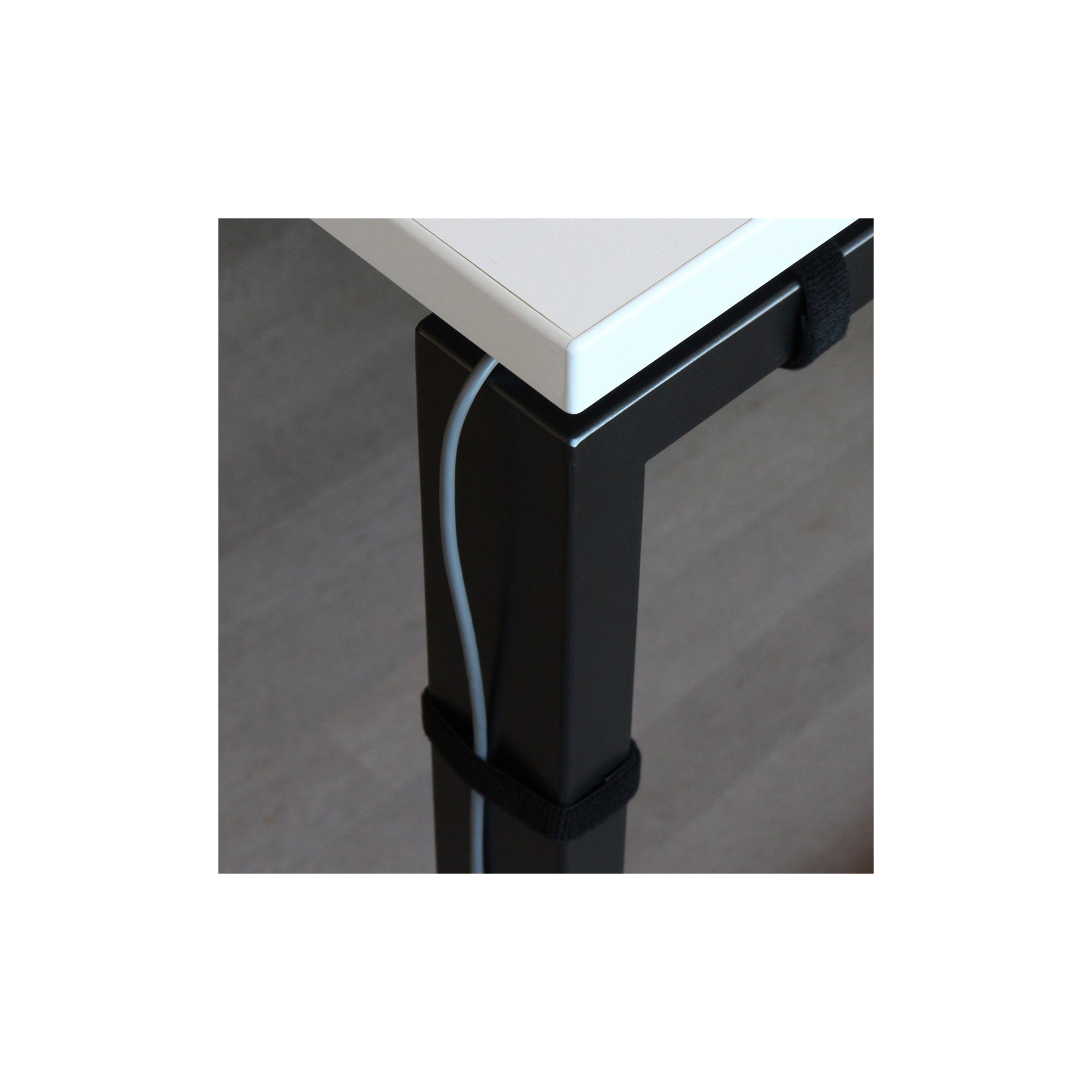 LABEL THE CABLE Klettband ROLL STRAP schwarz