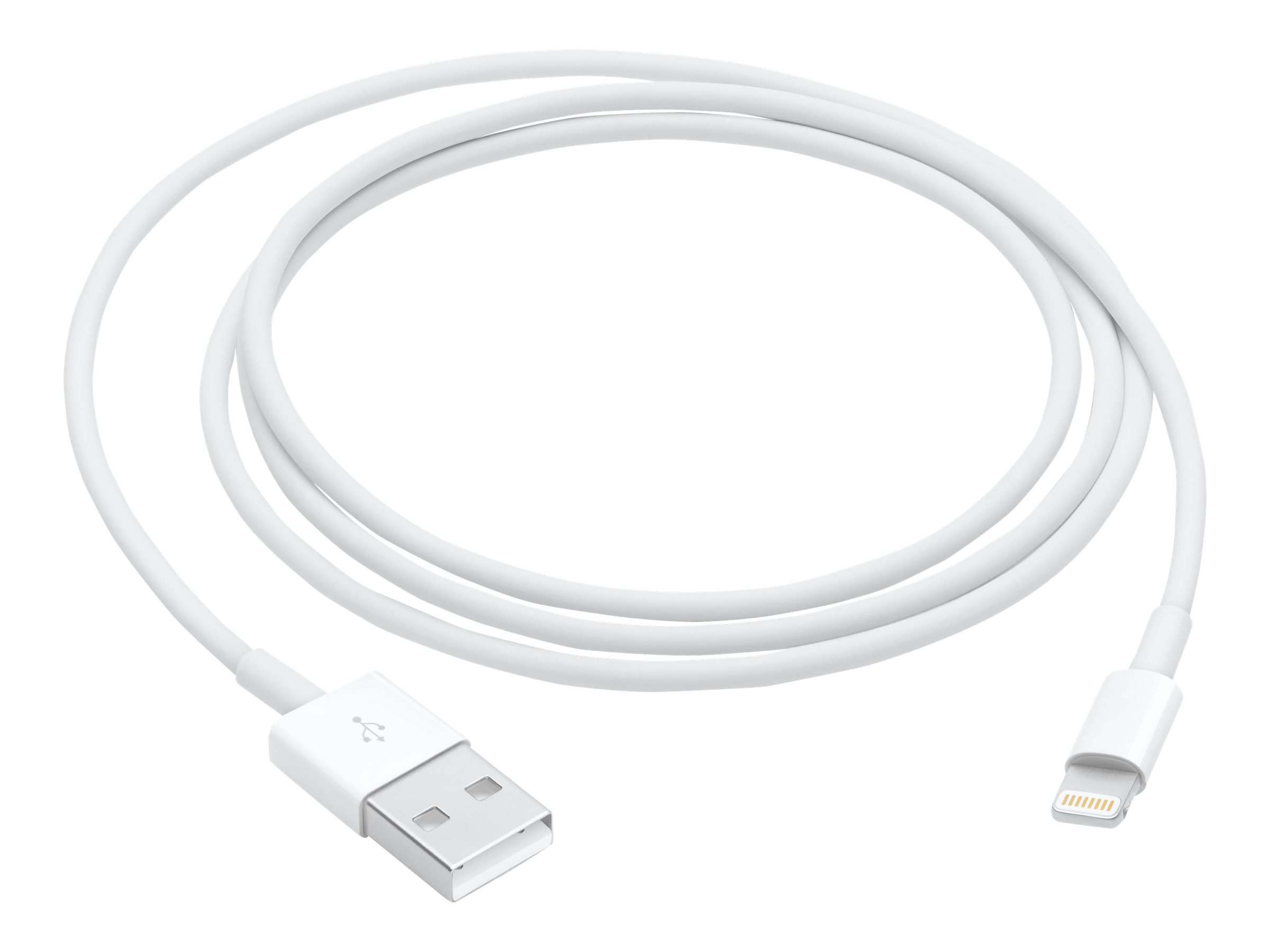 Apple Lightning auf USB Kabel (1Â m)