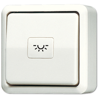Jung AP-Taster 631A 1S
