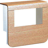TEHA Geräteträgeroberteil SL20055932D2 SL20055 buche