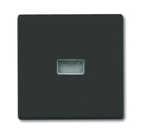 Busch-Jaeger Wippe 2107-35 AW44 anthrazit