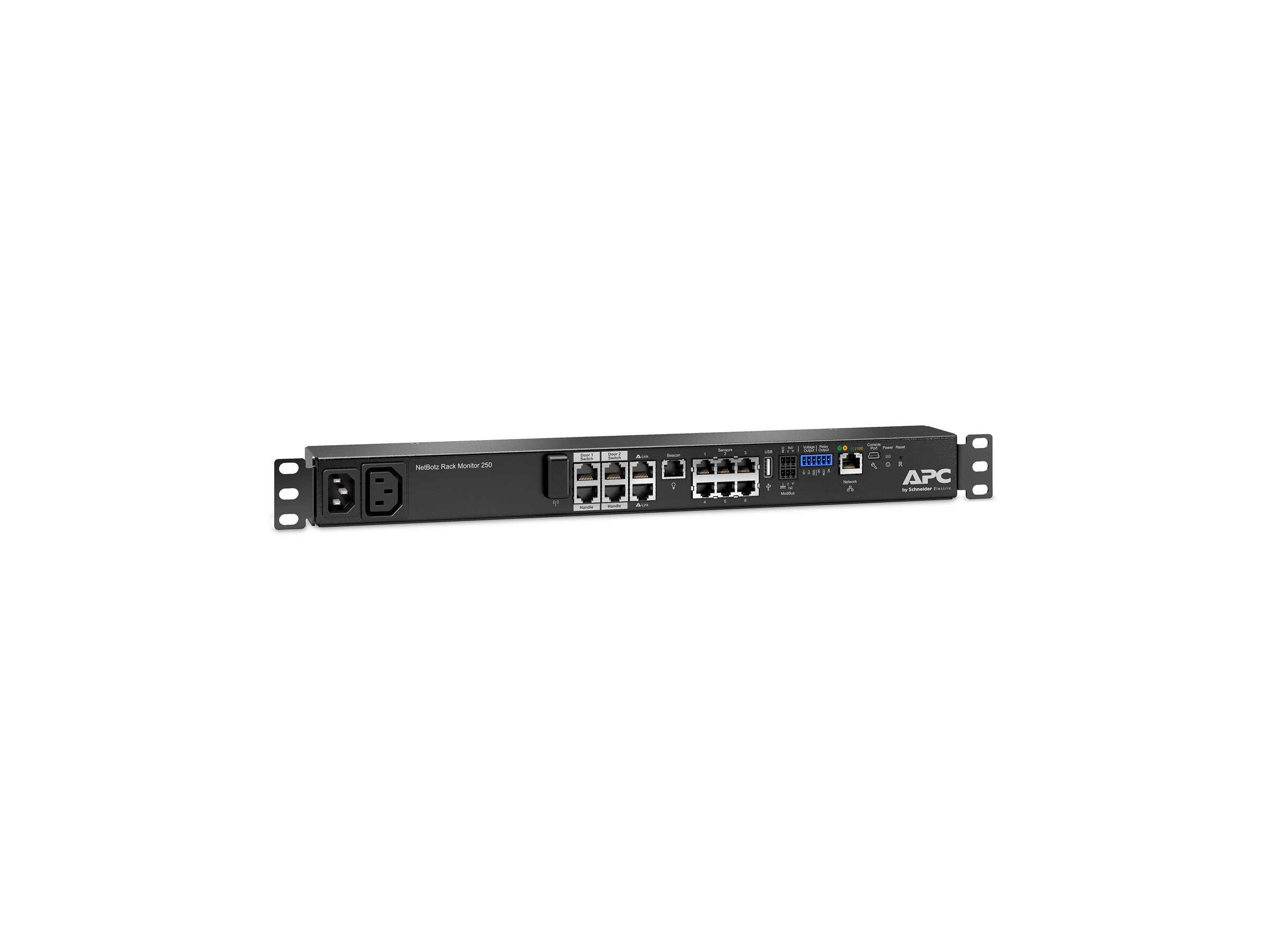 APC NetBotz Rack Monitor 250 Environment monitoring device 100Mb LAN rackmountable TAA Compliant