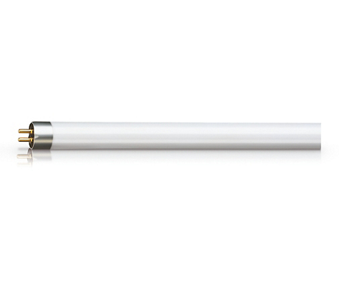 Philips Signify Leuchtstofflampe Actinic BL TL 8W10 1FM10X25CC