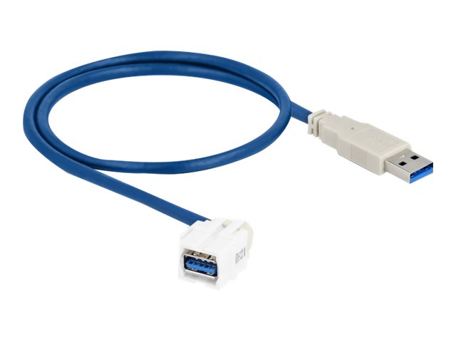 DELOCK Keystone Modul USB 3.0 A Buchse 250 > USB 3.0 A Stecker mit Kabel weiss