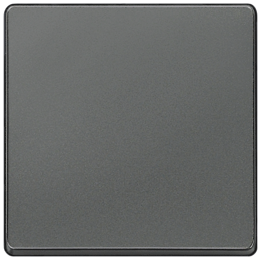 Siemens Wippe 5TG6221 carbon-metallig Siemens Wippe 5TG6221 carbon-metallig