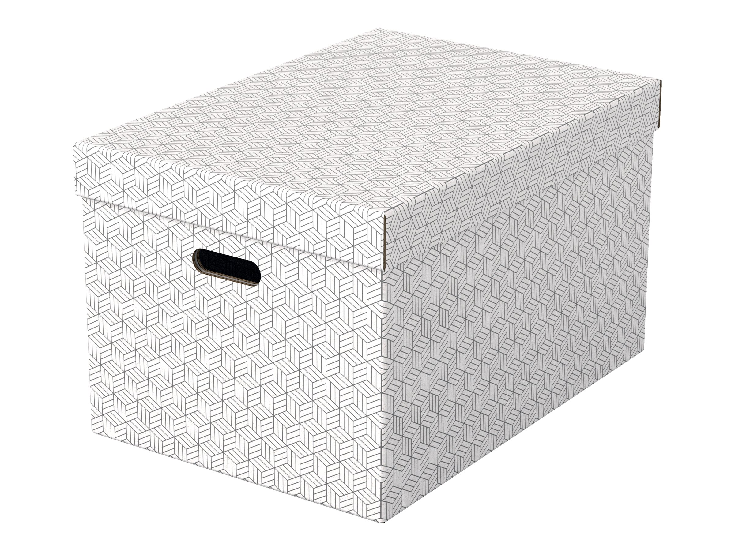 3 Esselte Home Aufbewahrungsboxen 50,0 l weiss 35,5 x 51,0 x 30,5 cm