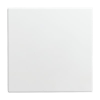 BuschJaeger Zentralscheibe 1576 C914 alpinweiss