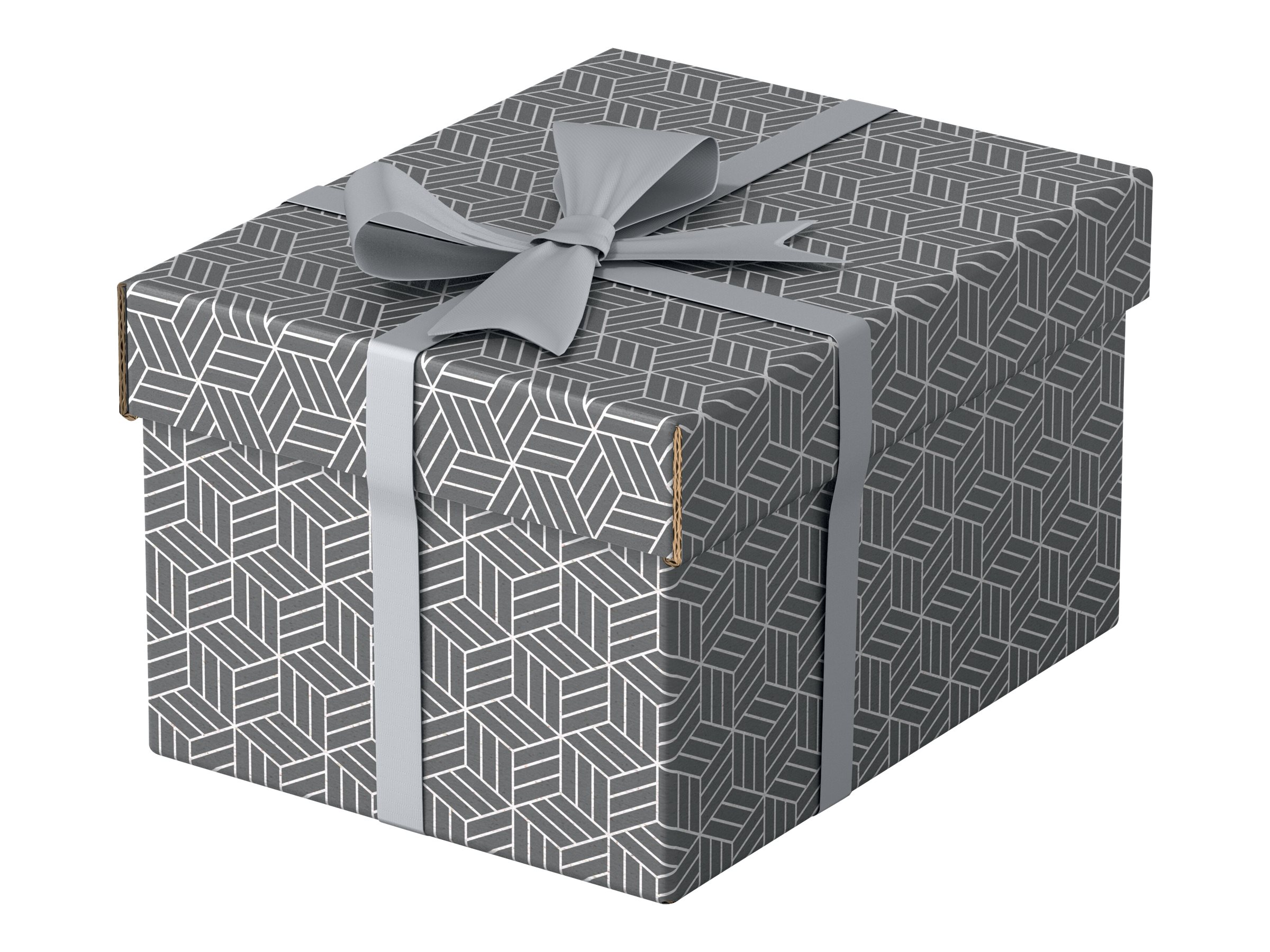 3 Esselte Home Aufbewahrungsboxen 6,5 l grau 20,0 x 25,5 x 15,0 cm
