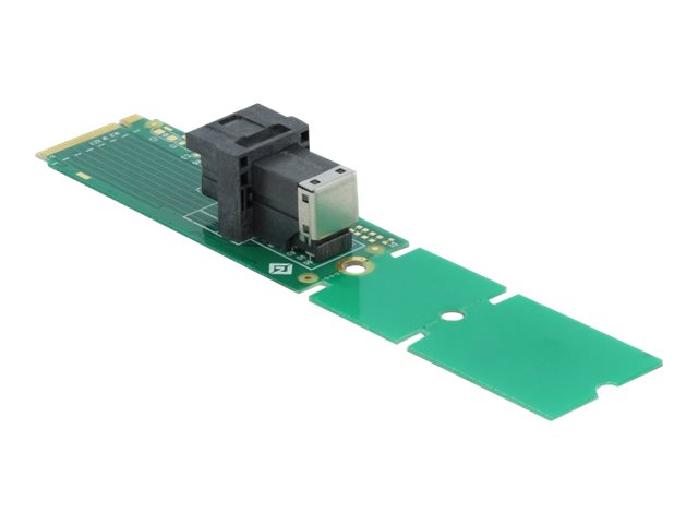 DELOCK Adapter M2 Key M zu SFF8643 NVMe 22110 2280 2260