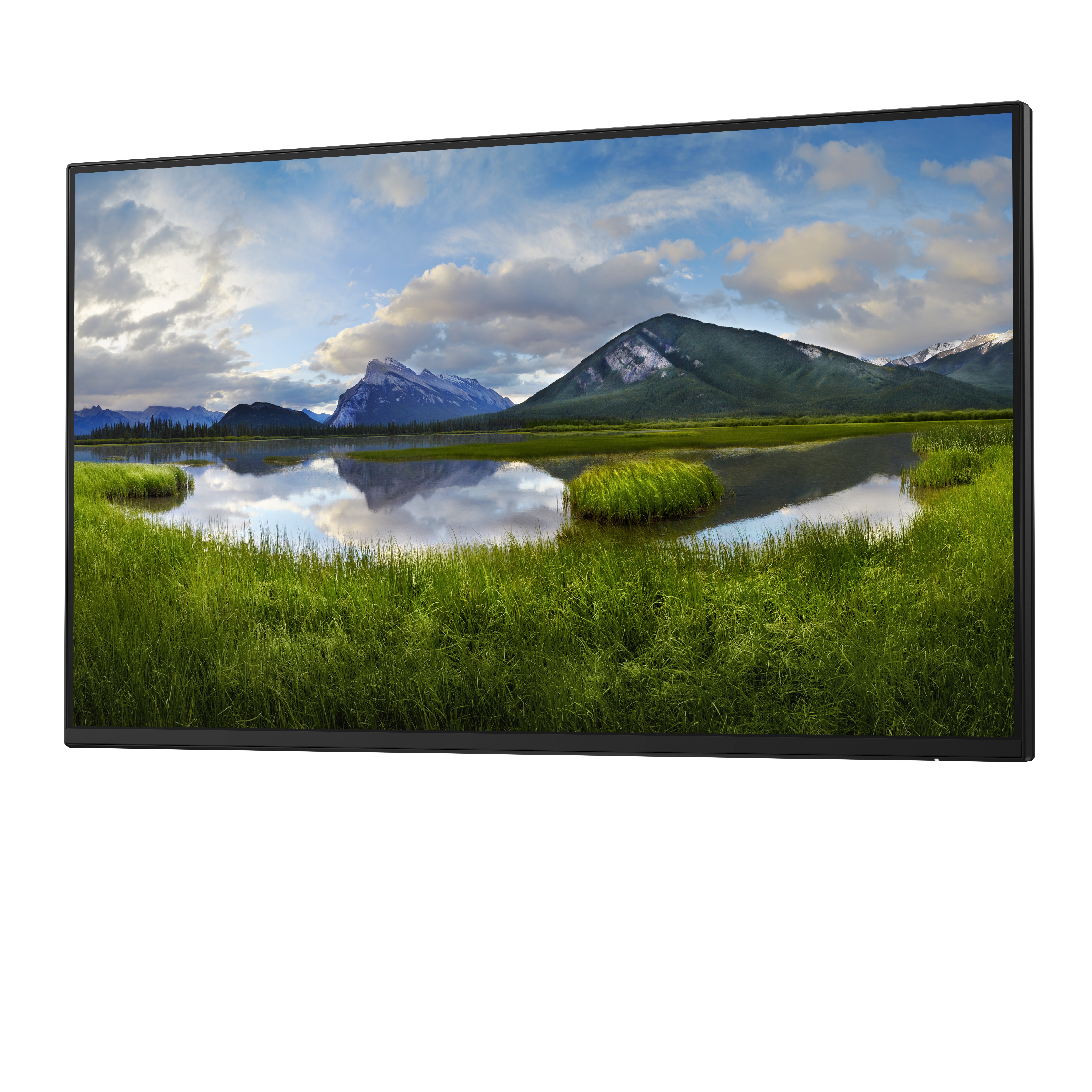 DELL 24 Monitor P2425H 60,45cm 23,8Zoll IPS 1920x1080 169 250cdm2 100Hz without stand HDMI DP VGA USB32