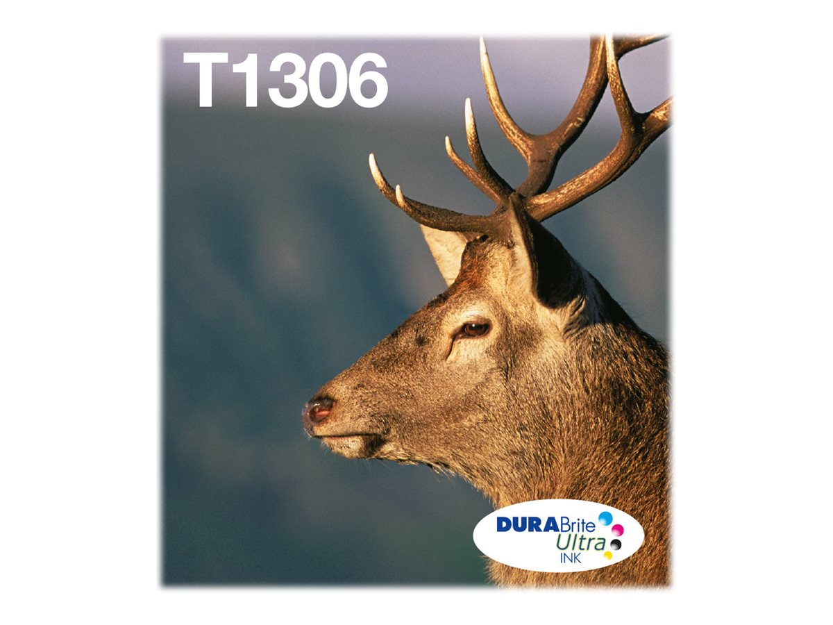 EPSON 1LB Multipack 3-colours T1306 DURABrite Ultra Ink EasyMail