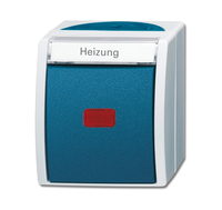 Busch-Jaeger Kontrollwechselschalter 2601/6 SKWNH-53 Ocean grau/blaugrün Busch-Jaeger Kontrollwechselschalter 2601/6 SKWNH-53 Ocean grau/blaugrün