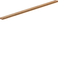 Hager Sammelschiene ZM11C 1feldrig CU12x5mm Hager Sammelschiene ZM11C 1feldrig CU12x5mm