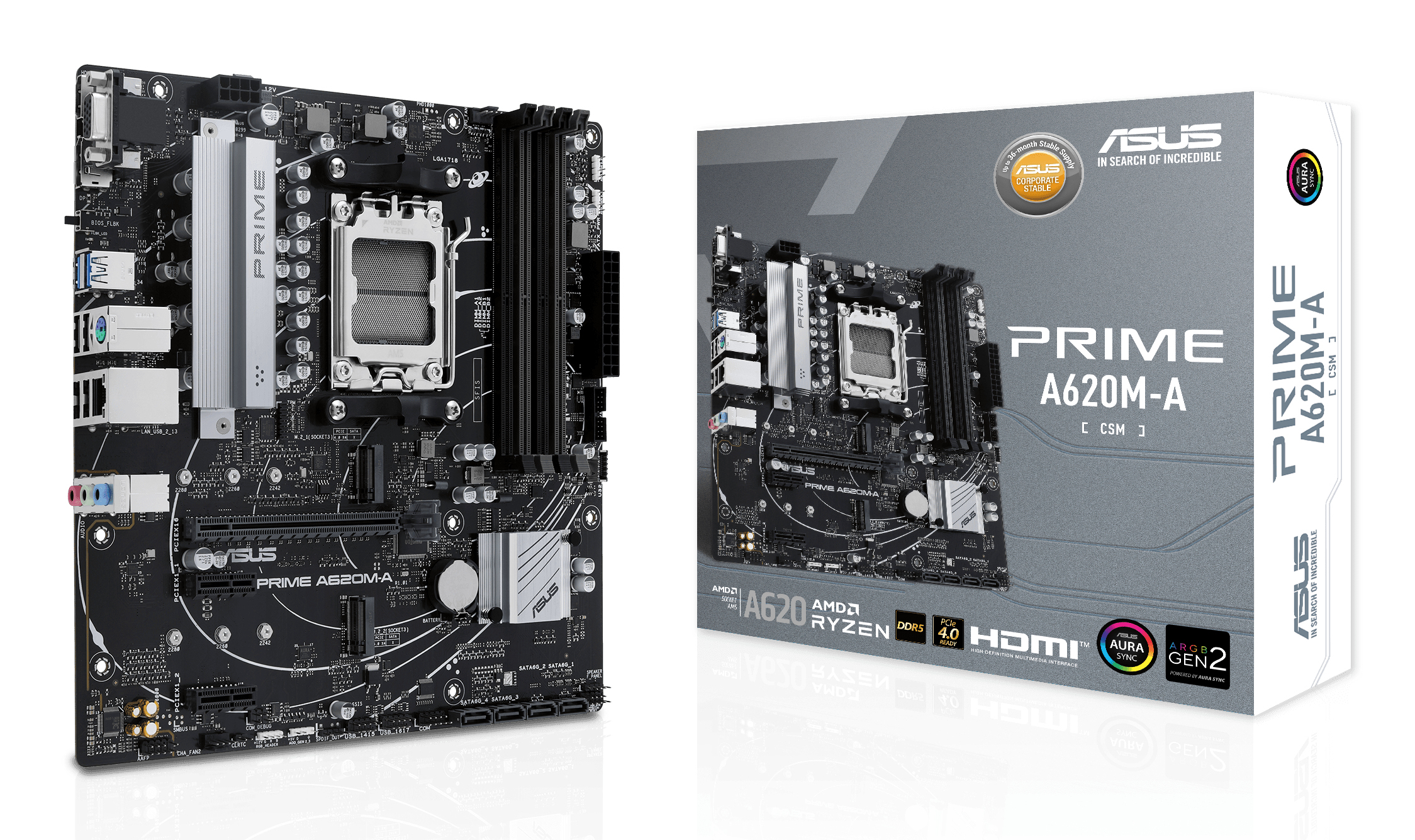 ASUS PRIME A620MACSM AM5 MB 4xDDR5 4xSATA 2xM2