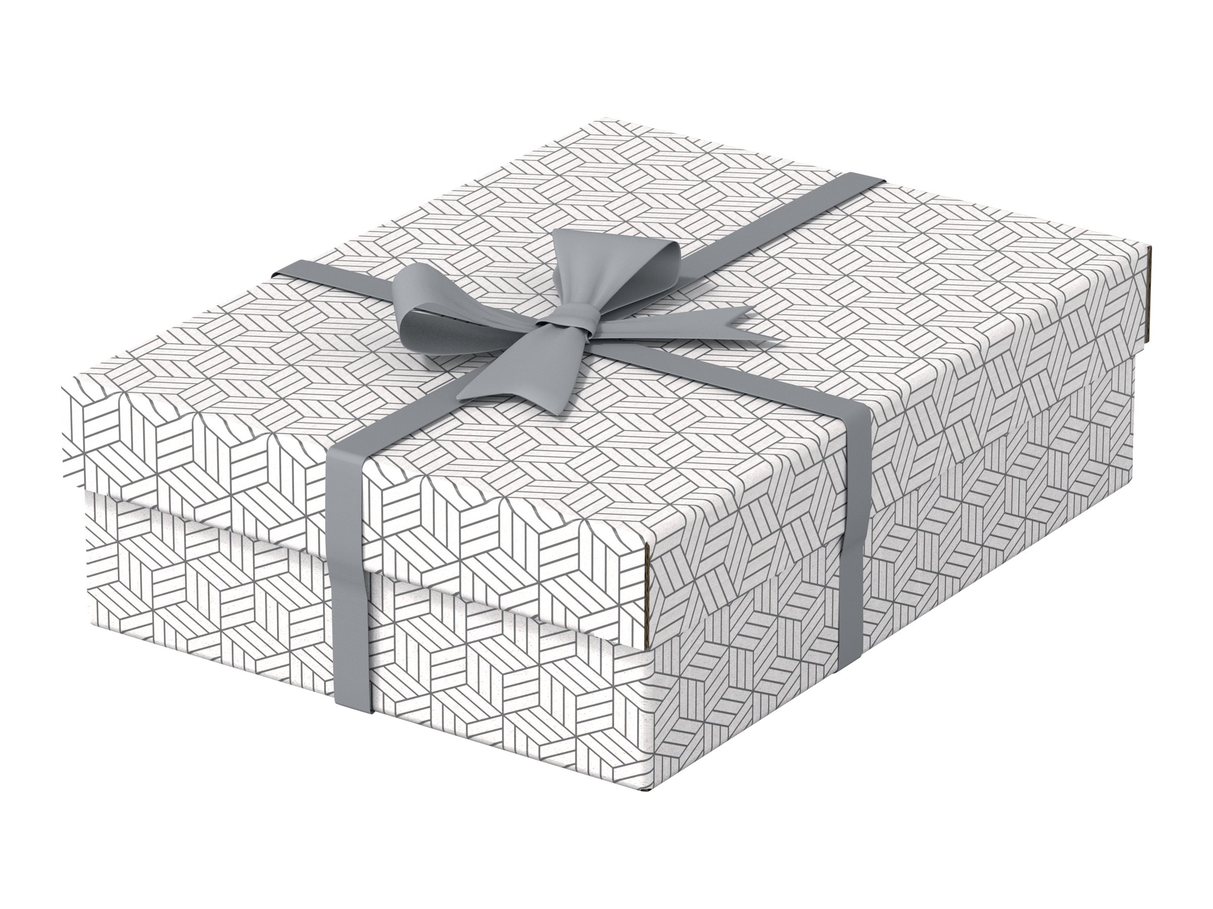3 Esselte Home Aufbewahrungsboxen 8,0 l weiss 26,5 x 36,0 x 10,0 cm