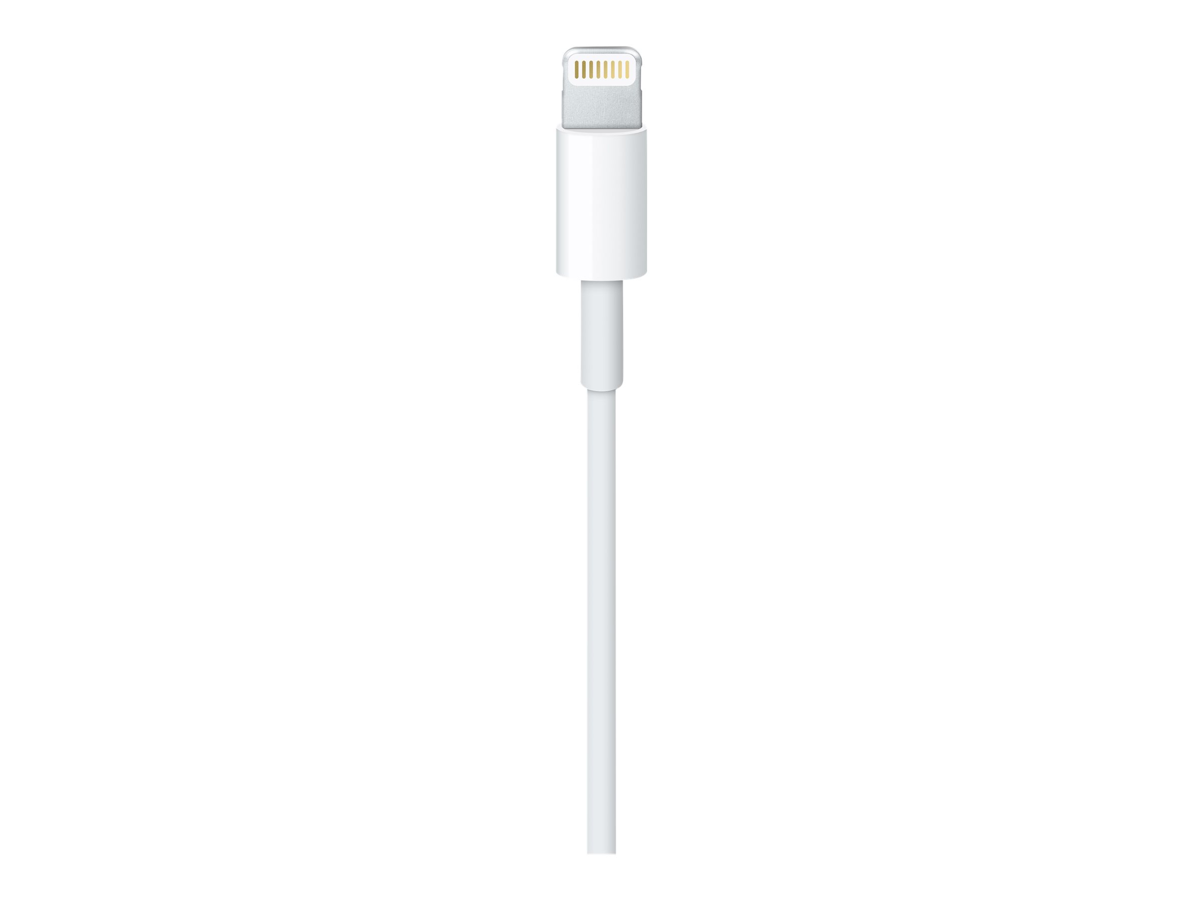 Apple Lightning auf USB Cable (1m)