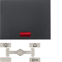 Berker Wippe 14157006 anthrazit matt Berker Wippe 14157006 anthrazit matt