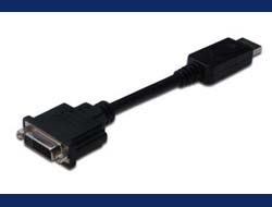 ASSMANN Adapterkabel DisplayPort Stecker auf DVII 245 Buchse 0,15m AWG28 doppelte Schirmung
