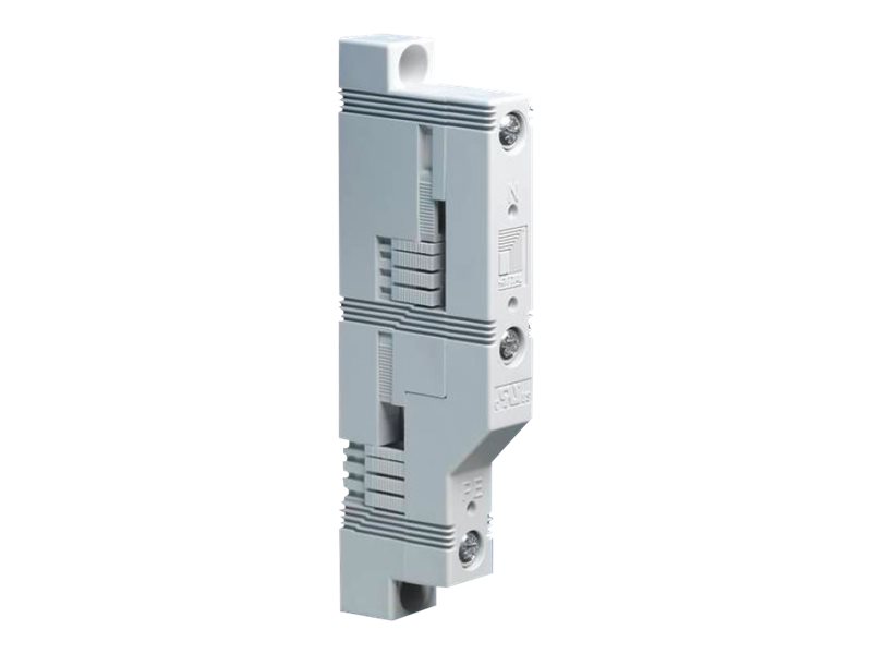 Rittal RiLine60 Sammelschienenhalter 2-pol 12x5-30x10mm 2polig PK=4Stck